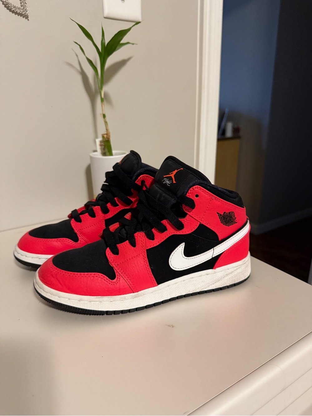 Nike Dunks Infrared